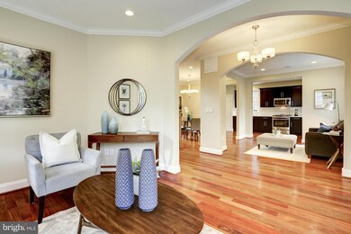 419 Lincoln Ave, Takoma Park, MD 20912 - photo 4