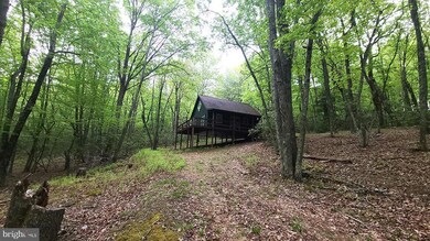 1712 Buck Ridges Rd, Franklin, WV 26807 - photo 3