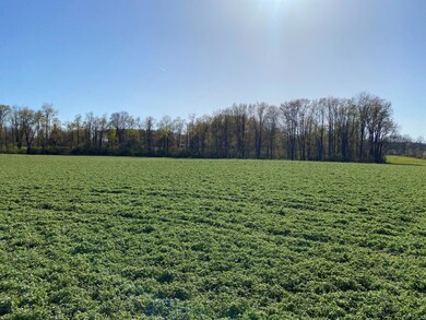 0 13th St unit 23014347, Wayland, MI 49348 - photo 3