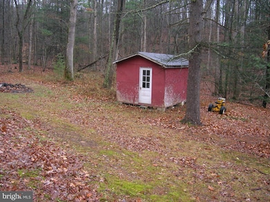 10698 Buffalo Trace, Newport, PA 17074 - photo 5