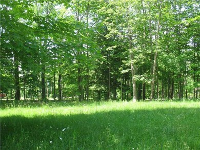Land. Open area of fields.