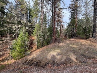 0 E Evans Creek Rd unit 10149531, White City, OR 97503 - photo 4