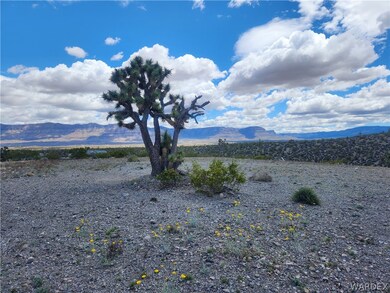 View of the Grand Wash Cliffs from the lot looking