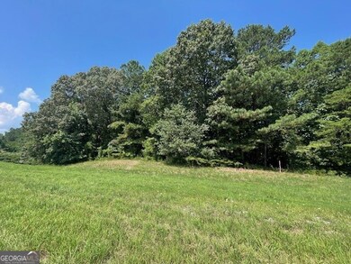 0 Highway 515 S unit 10561170, Talking Rock, GA 30175 - photo 3