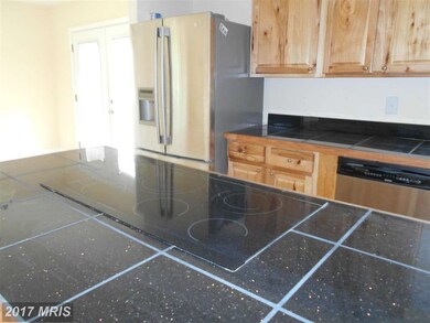 10201 Thomasson Ln, Rixeyville, VA 22737 - photo 7