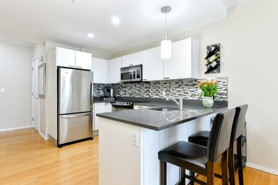 Sierra & Tango Condominiums unit T119, Cambridge, MA 02141 - photo 7