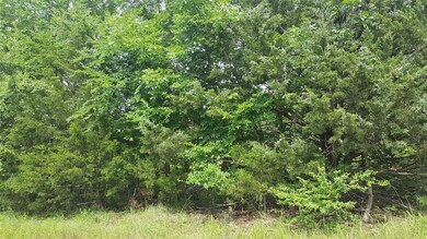 Lot 95 Lanes Ln, Pottsboro, TX 75076 - photo 4