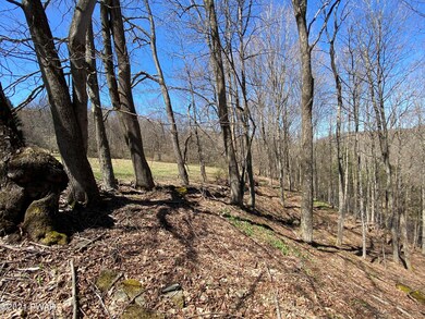 0 Burns Rd unit PWB211199, Clinton Township, PA 18472 - photo 5