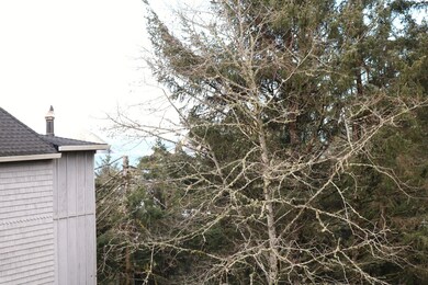 VL Camelot Estates Lot 9, Oceanside, OR 97134 - photo 3