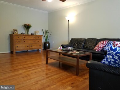 5710 Mason Bluff Dr, Burke, VA 22015 - photo 4