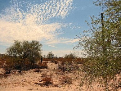 Wide Open Spaces!