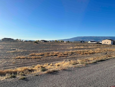 TBD Sol Vista Ln, Delta, CO 81416 - photo 4