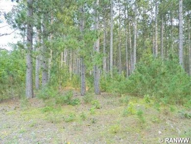 0 N Black Brook Rd unit 895453, Webster, WI 54893 - photo 6