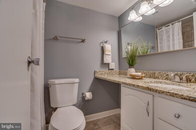 2060 Royal Fern Ct unit 12A, Reston, VA 20191 - photo 2