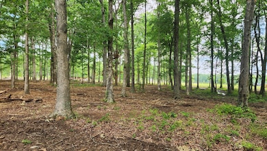 0 Fredonia Rd unit RTC2658031, Manchester, TN 37355 - photo 4