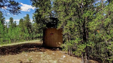 308 Quarry Rd, Fair Play, CO 80440 - photo 5