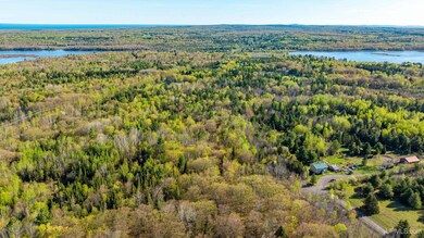 TBD B Gorton Rd, Franklin Township, MI 49930 - photo 6