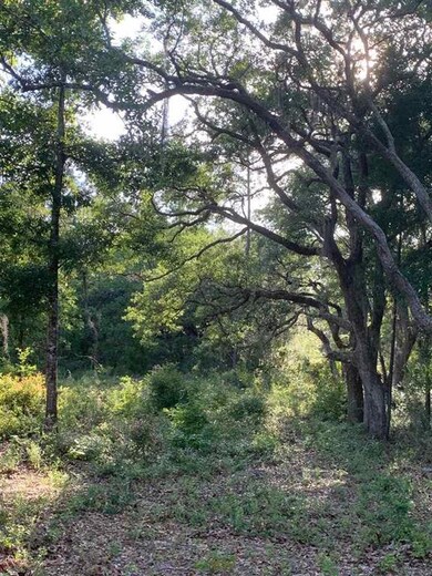 14969 E Royal Oak Dr, Perry, FL 32348 - photo 5