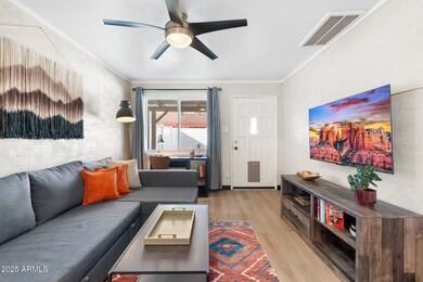 6037 E Hollyhock St unit 2, Phoenix, AZ 85018 - photo 3