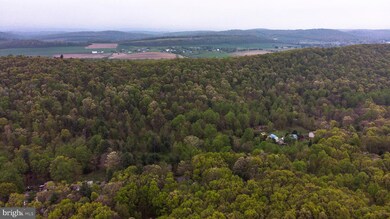 0 Clouser Hollow Rd, New Bloomfield, PA 17068 - photo 7