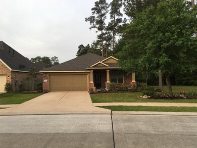 30135 Saw Oaks Dr, Magnolia, TX 77355 - photo 4