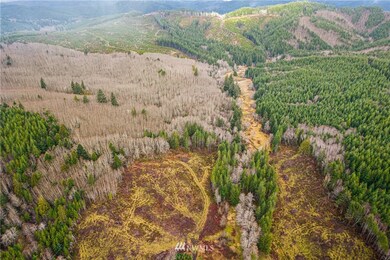 0 Elk Creek Rd unit NWM1890793, Raymond, WA 98577 - photo 6