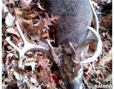 0 Christopherson Rd unit 853971, Northbend Township, WI 54642 - photo 3