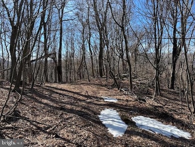 18.08 AC Bear Ridge Rd, New Creek, WV 26743 - photo 2