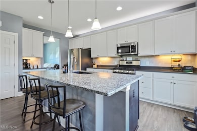 807 Asbury Pointe Ln, Painesville, OH 44077 - photo 4