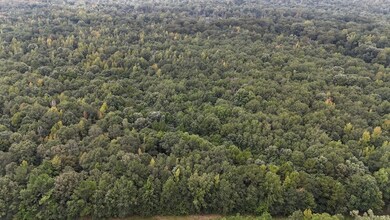 0 Parish Road 660 Lot unit WP001, Winnfield, LA 71483 - photo 5