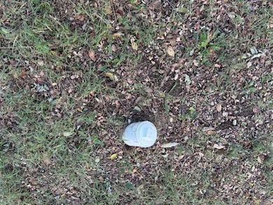 521 Pearl, Meredosia, IL 62665 - photo 3