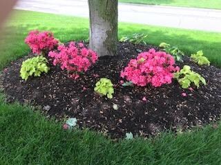 4305 SW Gull Point Dr, Lees Summit, MO 64082 - photo 2