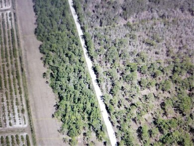 000 Carter Rd, Estero, FL 33928 - photo 2