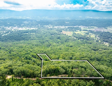 5-web-or-mls-DJI_20250711080707_0779_D-5