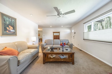 16574 6275 Rd, Montrose, CO 81403 - photo 6