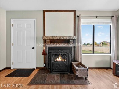 Detailed view of a fireplace with flush hearth and wood finished floors