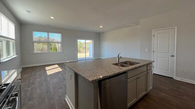 310 Bluebell Way, Moncks Corner, SC 29461 - photo 5