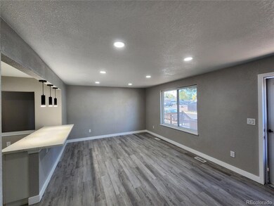 3217 E 117th Place, Thornton, CO 80233 - photo 7