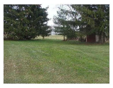 Yard/Garden.