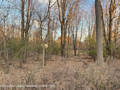 1610 Autumn Ln, Lansing, MI 48912 - photo 6