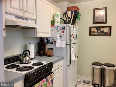 610 Madison St unit 205, Alexandria, VA 22314 - photo 6