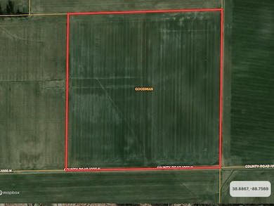 000 1000 Rd N, Farina, IL 62838 - photo 2