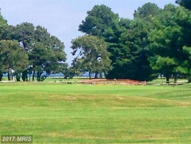 116 Terrapin Ln, Stevensville, MD 21666 - photo 4