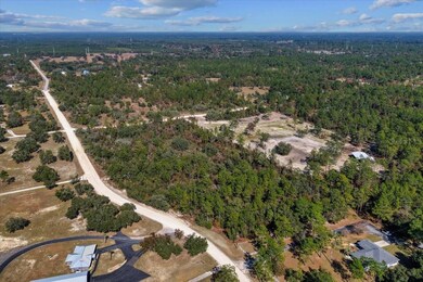 TBD NE 127 Ct, Williston, FL 32696 - photo 4