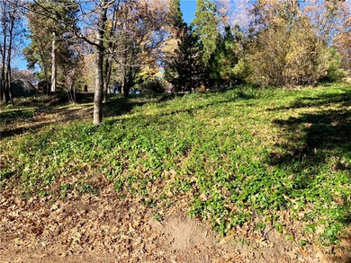 40 Park Dr, Running Springs, CA 92382 - photo 6