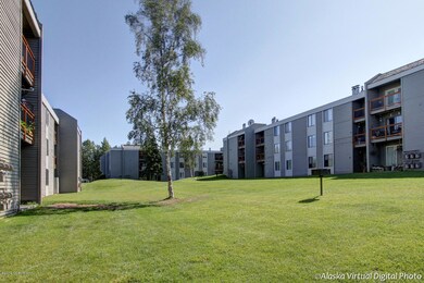Common lawn