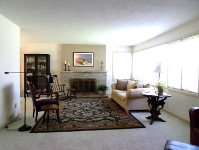 Living Room/Fireplace