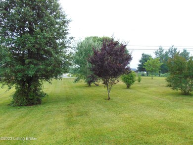 Front Yard 3