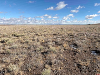 0 Lariat Rd unit 830135, Monte Vista, CO 81144 - photo 3