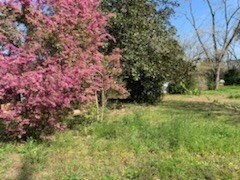 39 Farm Ave, Pavo, GA 31778 - photo 2